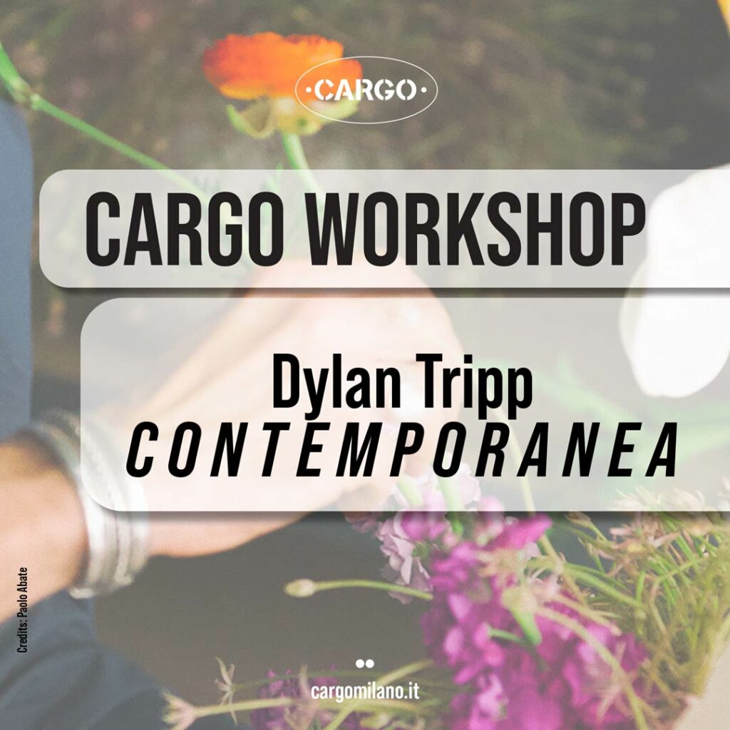 dtripp