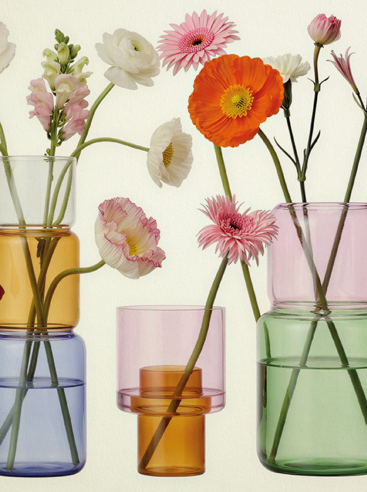 L’algoritmo naturale